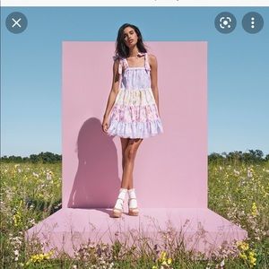 Love shack fancy x target dress